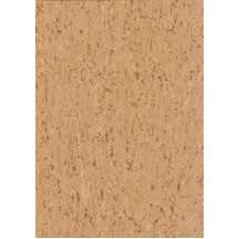 0425 CORK